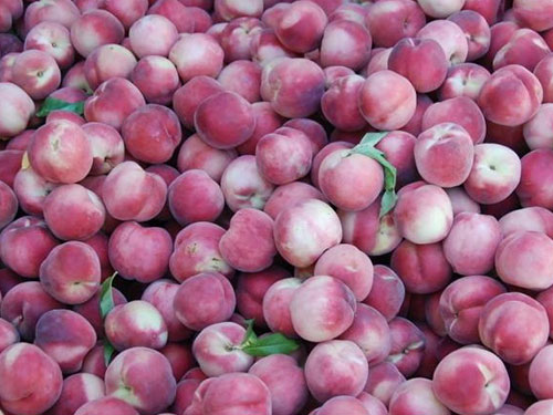 水果配送-桃子1 水果配送-桃子1