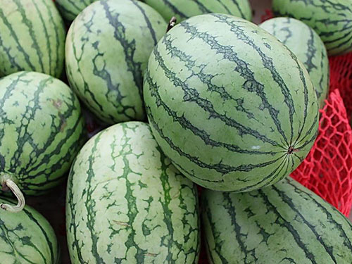 水果配送-西瓜 水果配送-西瓜