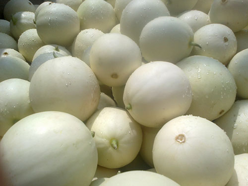 水果配送-香瓜 水果配送-香瓜