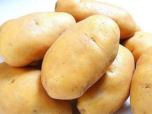 土豆 土豆