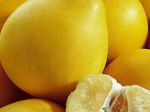 水果配送-柚子 水果配送-柚子