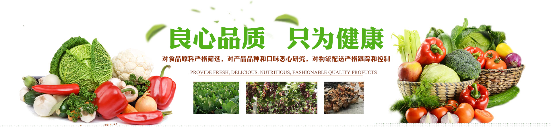 郴州市友邦生態(tài)農(nóng)業(yè)開(kāi)發(fā)有限公司_蔬菜配送公司|郴州食材配送|郴州蔬菜配送|食堂配送